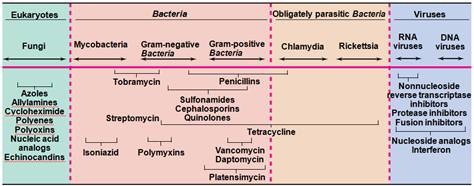 Figure 2: Mechanism of antimicrobials