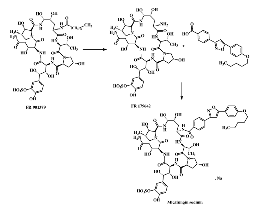 Figure 2: Some antifungal drugs that inhibit the synthesis of β- (1, 3) - D-glucan
