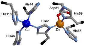 Figure 8: Antioxidants