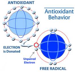 Figure 1: Antioxidants