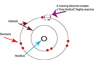 Figure 1: Free Radicals