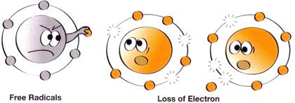 Figure 2: Free Radicals